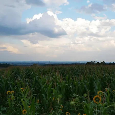 Huettennest Appartement *